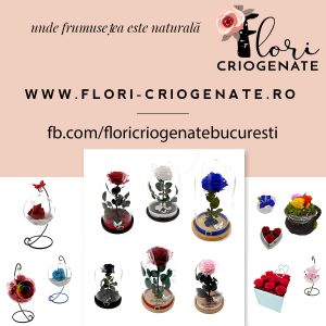 https://www.flori-criogenate.ro/
